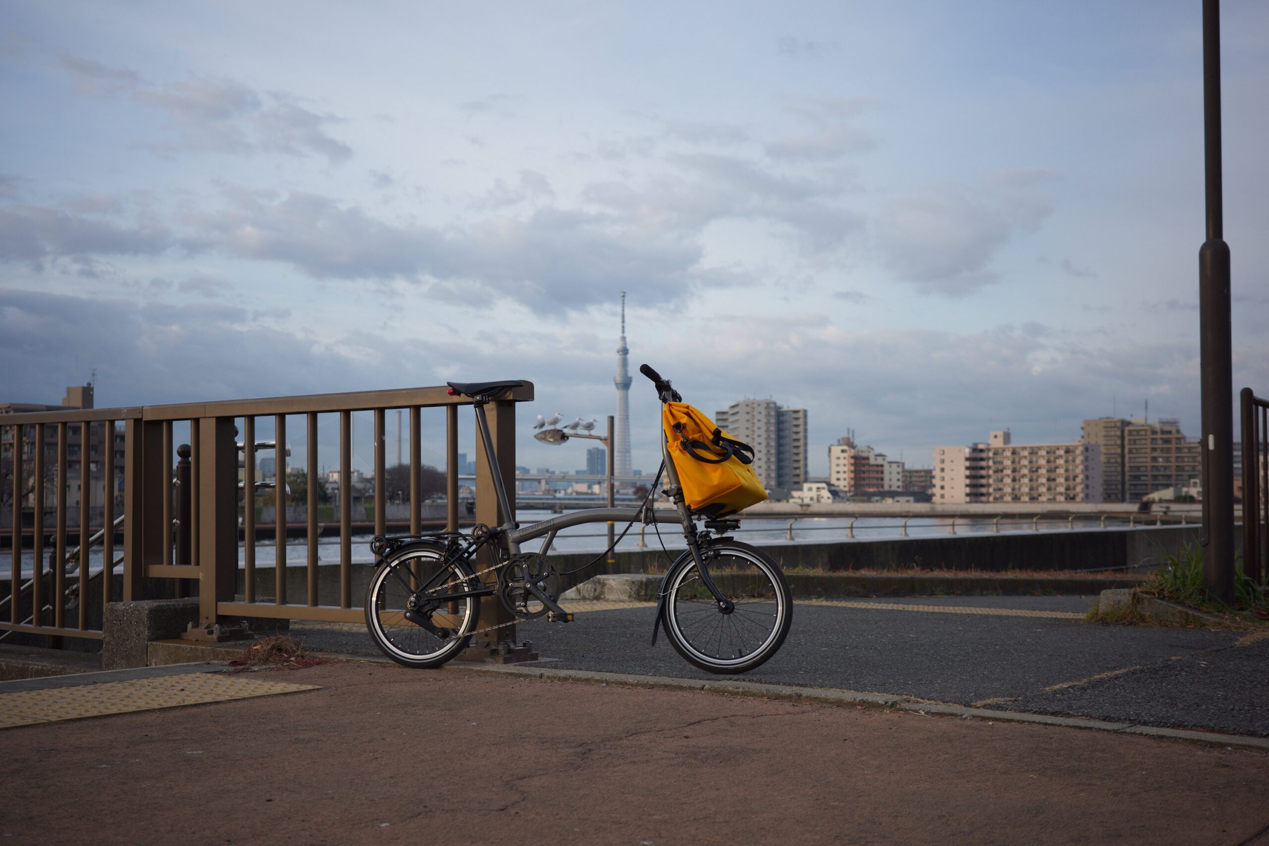 Monthly Update: December 2025