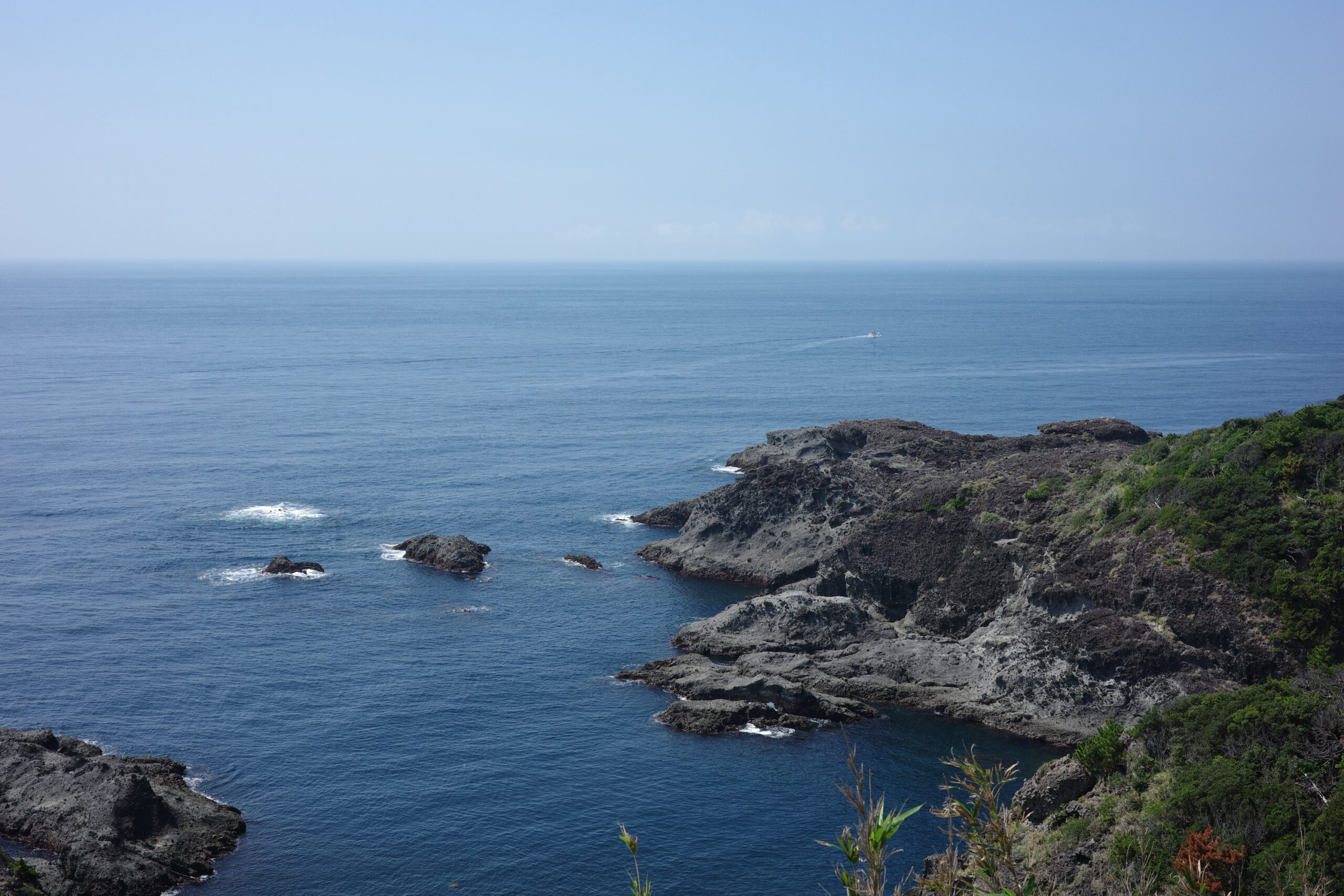 Monthly Update: September 2025