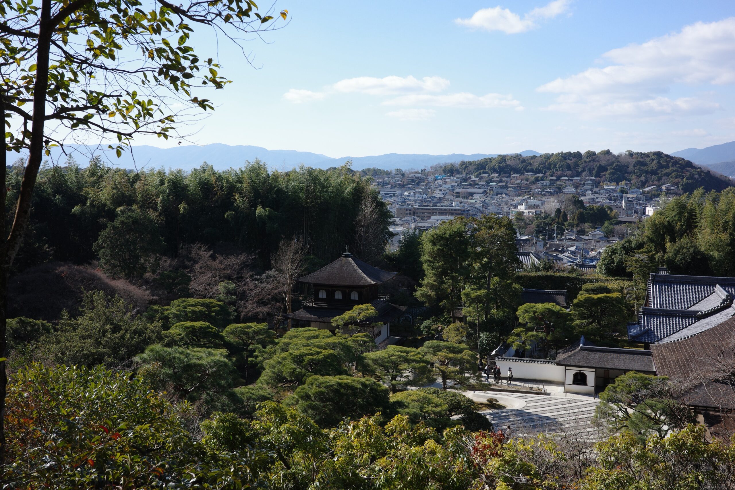 Monthly Update: January 2026