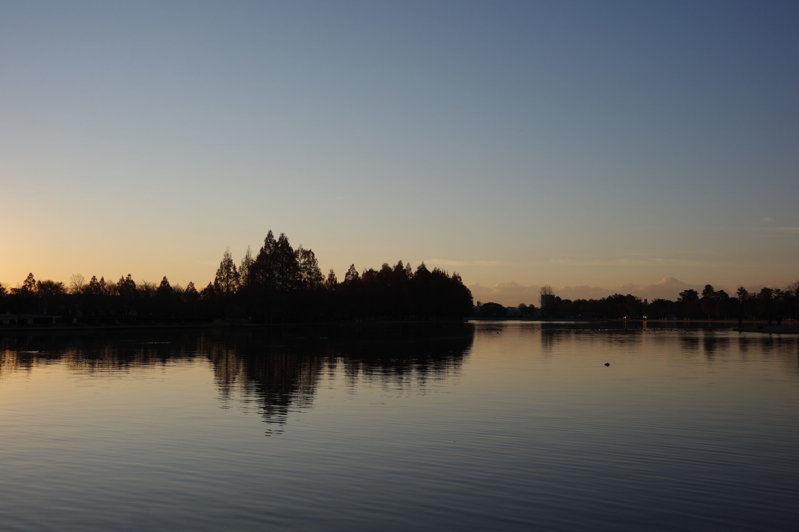 2026年もよろしくお願いします