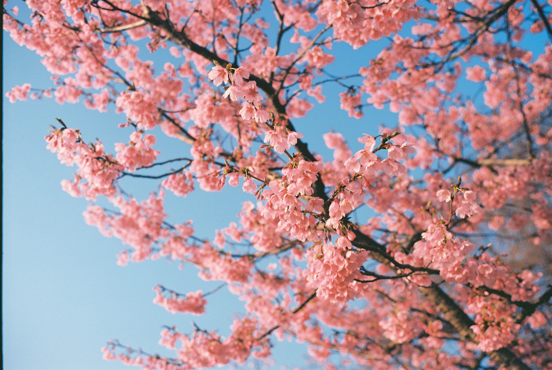 Monthly Update: February & March 2026